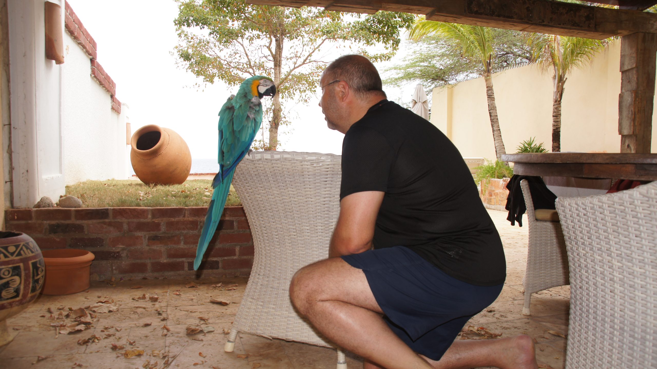 Eine kleine Ansprache